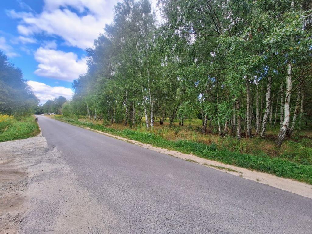 działka budowlana ,obok PKP i lasu - zdjęcie 4