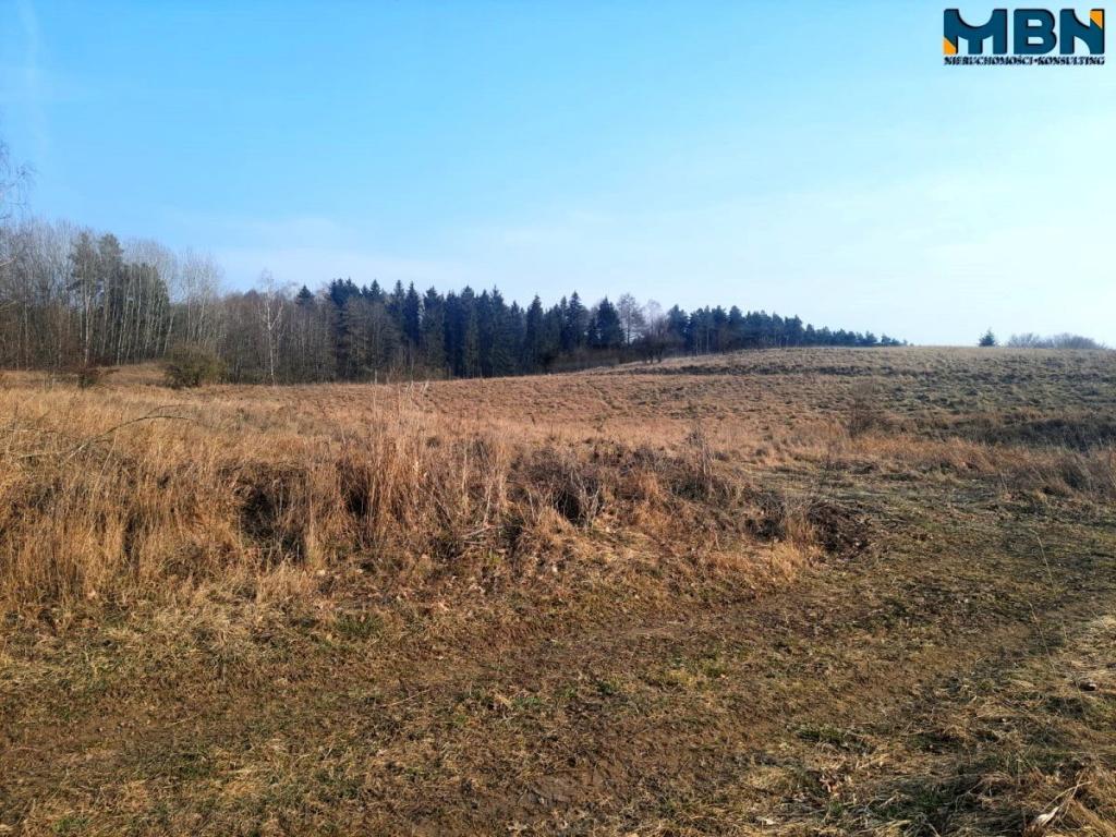 Działka rolna 5,17&nbsp;ha, Wejdyki - zdjęcie 6