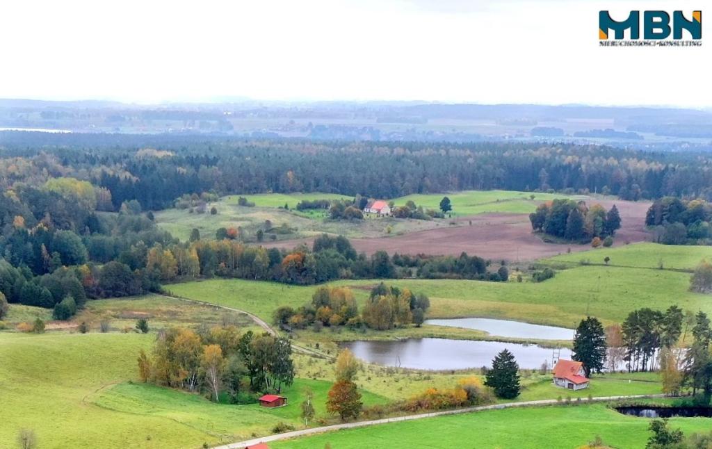 Działka rolna 5,17&nbsp;ha, Wejdyki - zdjęcie 2