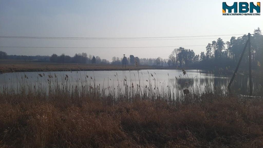 Działka rolna 5,17&nbsp;ha, Wejdyki - zdjęcie 10