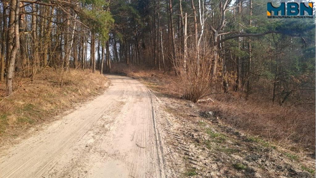 Działka rolna 5,17&nbsp;ha, Wejdyki - zdjęcie 8