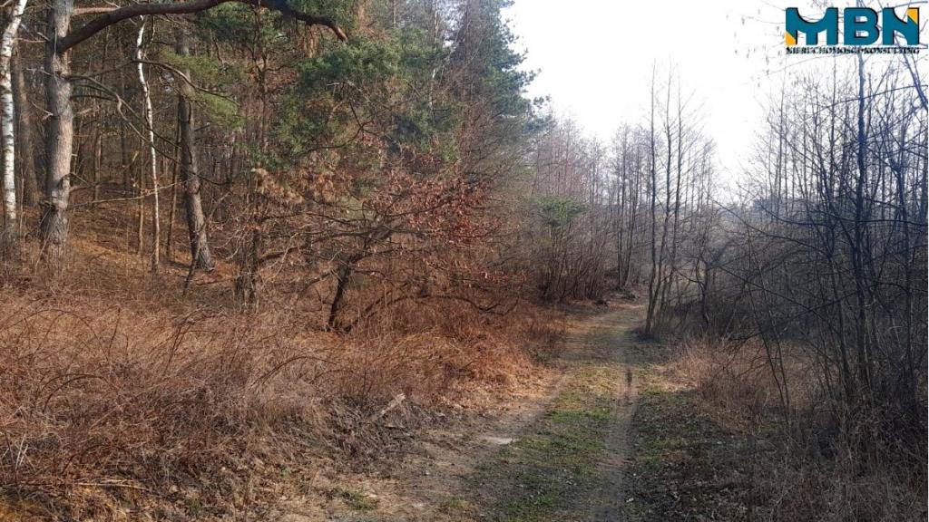 Działka rolna 5,17&nbsp;ha, Wejdyki - zdjęcie 9