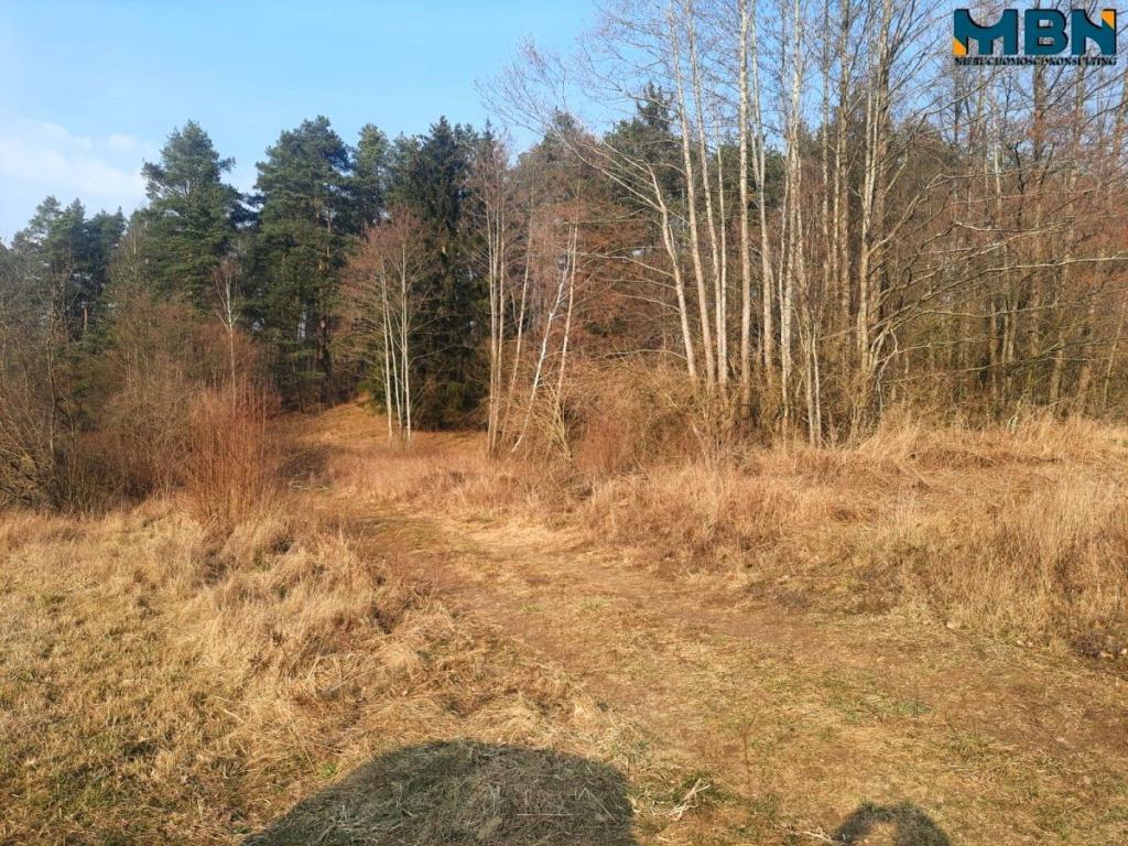 Działka rolna 5,17&nbsp;ha, Wejdyki - zdjęcie 4