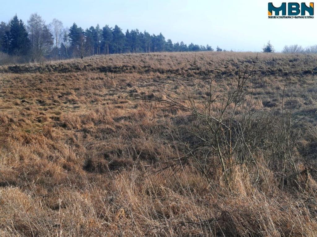 Działka rolna 5,17&nbsp;ha, Wejdyki - zdjęcie 7