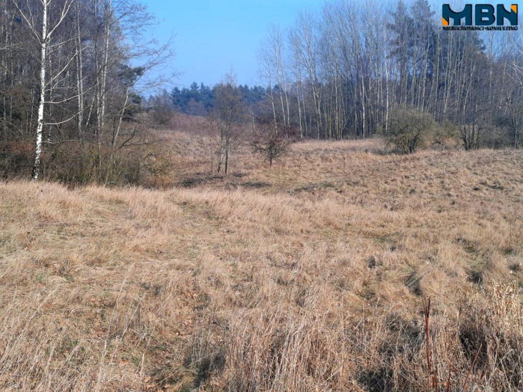 Działka rolna 5,17&nbsp;ha, Wejdyki - zdjęcie 5