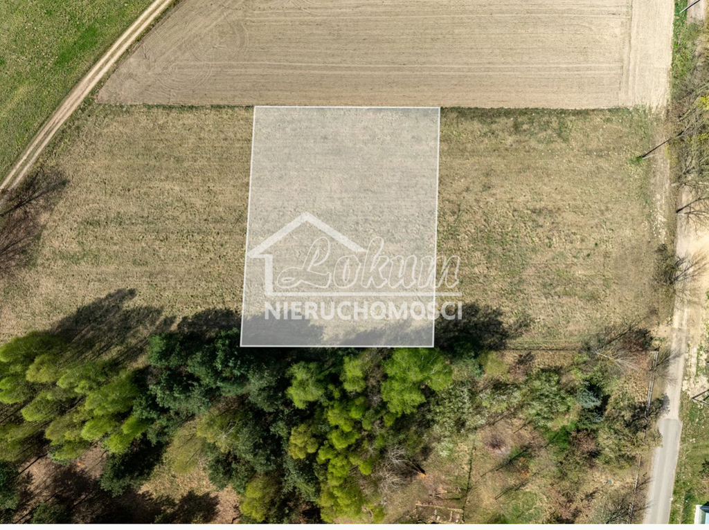 Działka budowlana 1517&nbsp;m², Kikorze - zdjęcie 3