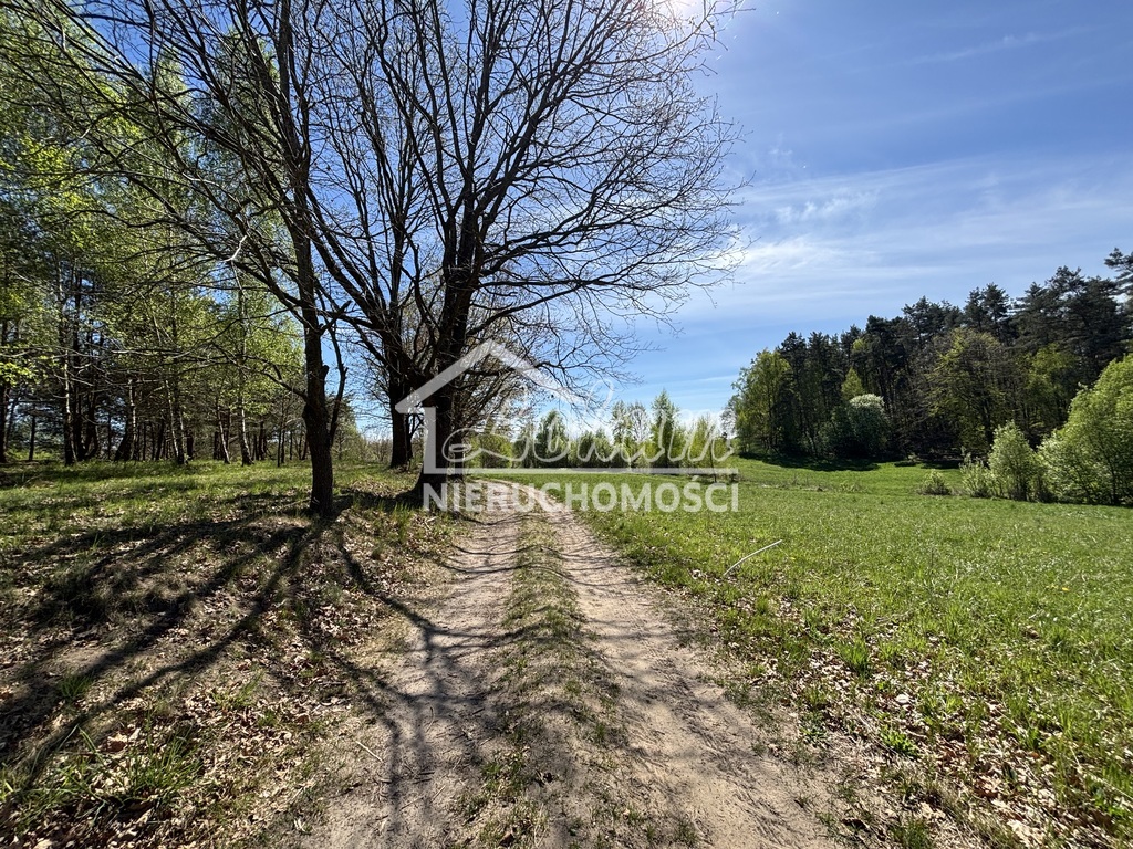 Działka budowlana 1517&nbsp;m², Kikorze - zdjęcie 5