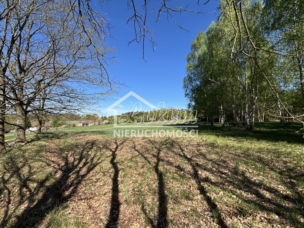Działka budowlana 1517&nbsp;m², Kikorze - zdjęcie 4