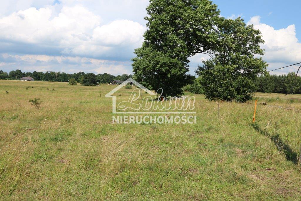 Działka budowlana 3003 m², Łęgi - zdjęcie 2