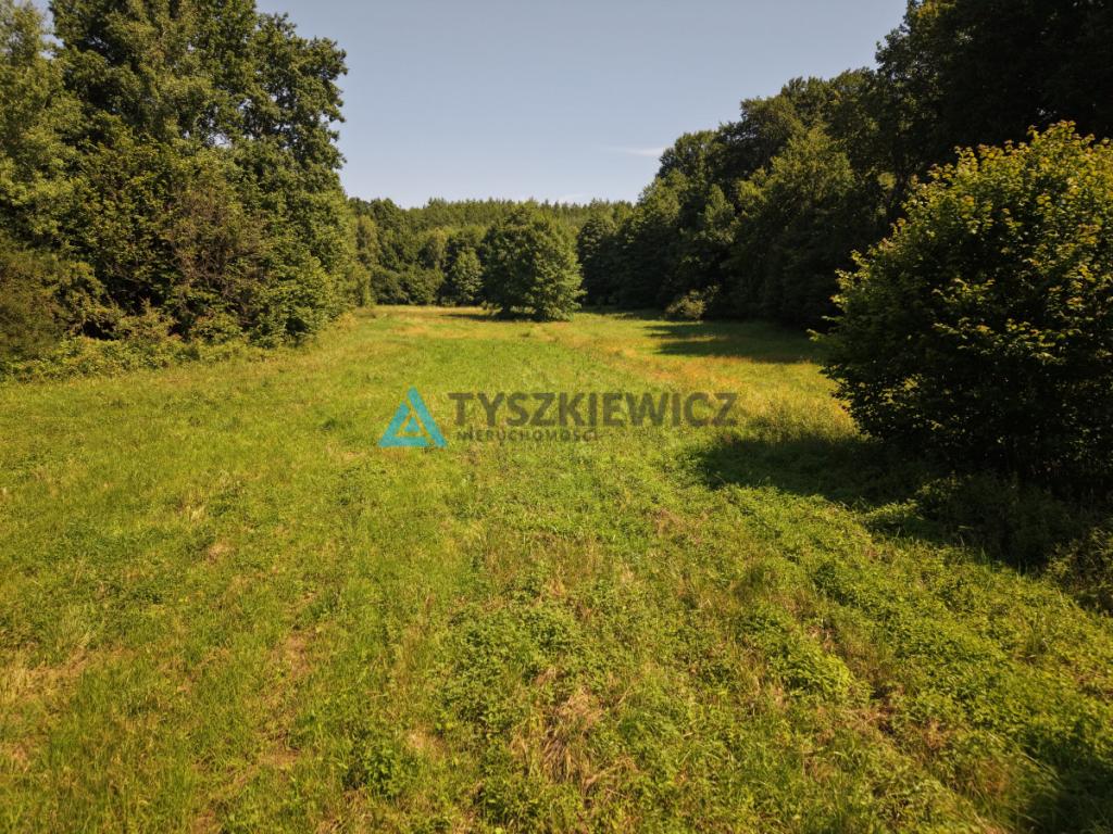 Działka nad jeziorem na sprzedaż - zdjęcie 12