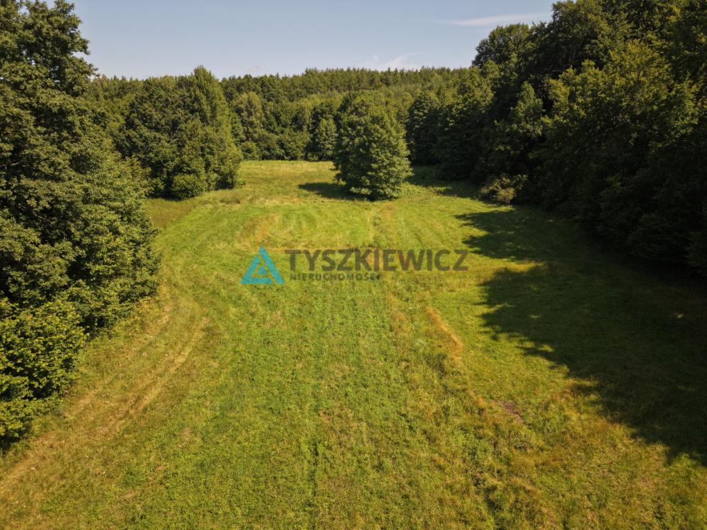 Działka nad jeziorem na sprzedaż - zdjęcie 14