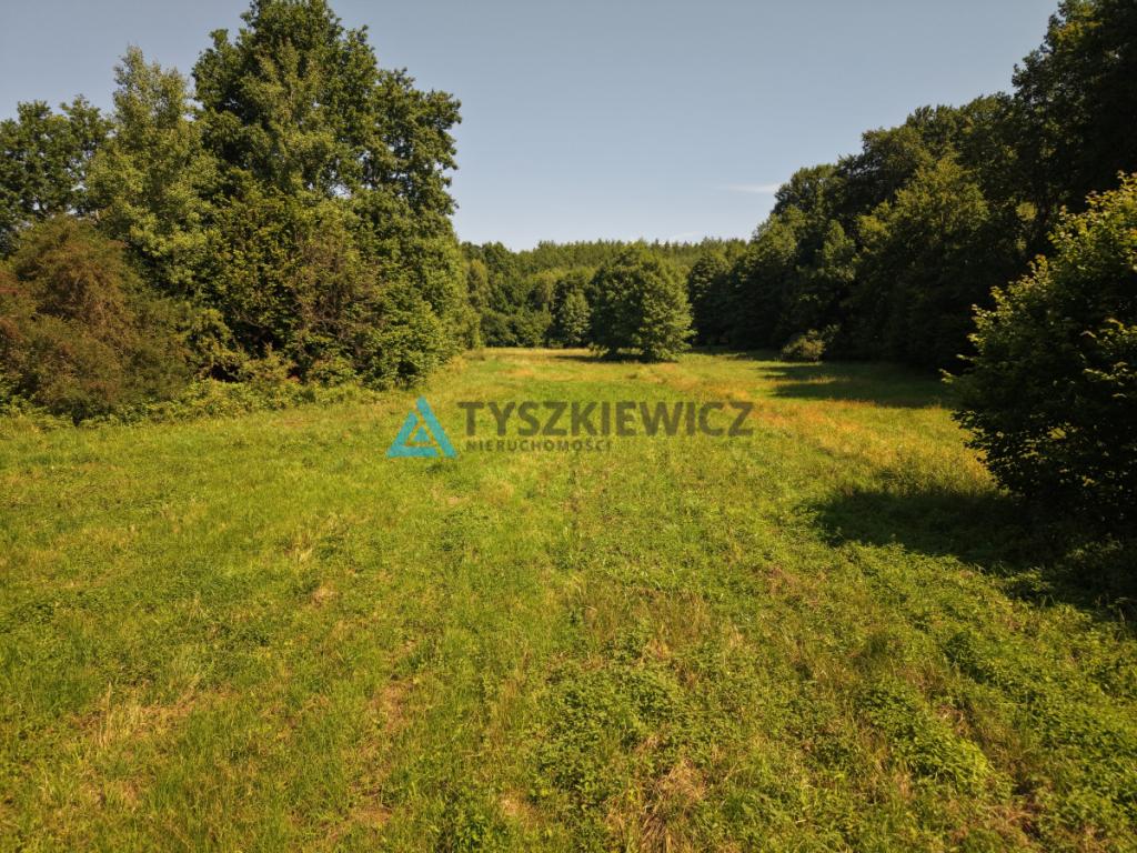 Działka nad jeziorem na sprzedaż - zdjęcie 13