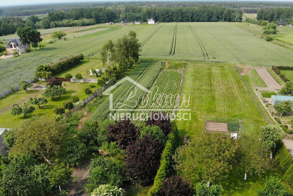 Działka budowlana 1875&nbsp;m², Przemocze - zdjęcie 1