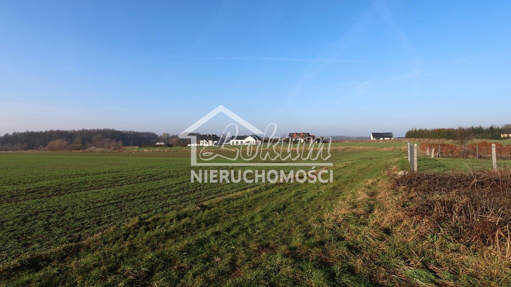 Działka budowlana 1875&nbsp;m², Przemocze - zdjęcie 10