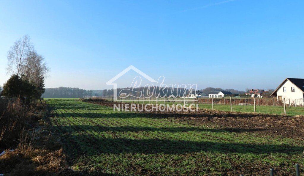 Działka budowlana 1875&nbsp;m², Przemocze - zdjęcie 2