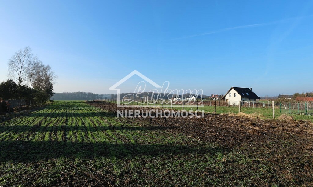 Działka budowlana 1875&nbsp;m², Przemocze - zdjęcie 3