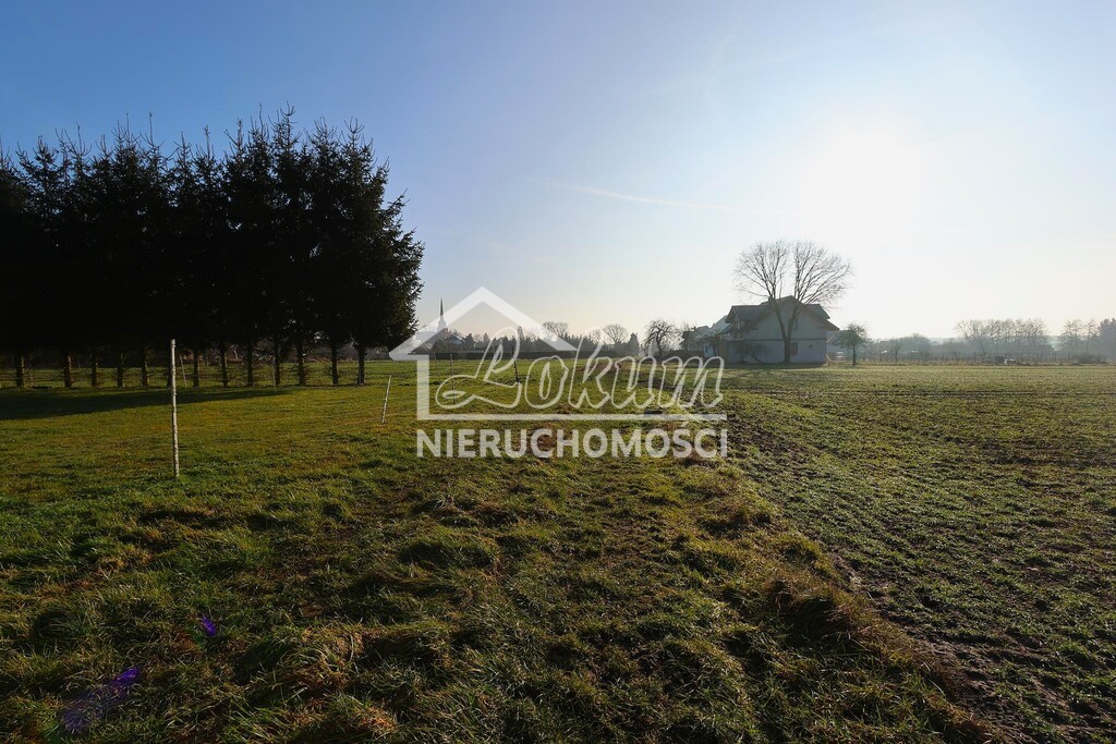 Działka budowlana 1875&nbsp;m², Przemocze - zdjęcie 9