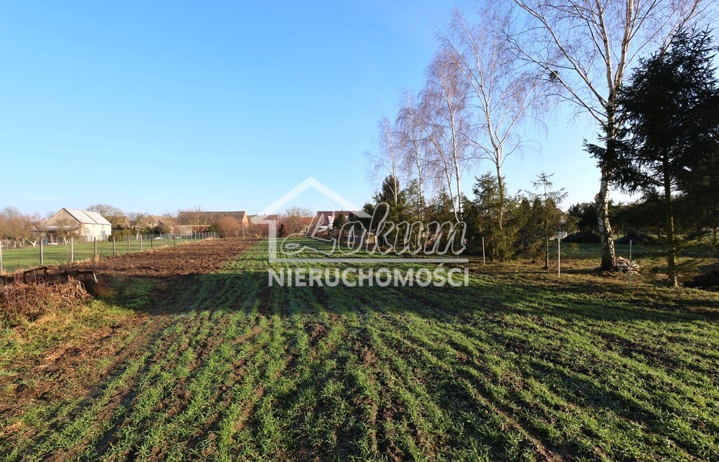 Działka budowlana 1875&nbsp;m², Przemocze - zdjęcie 6