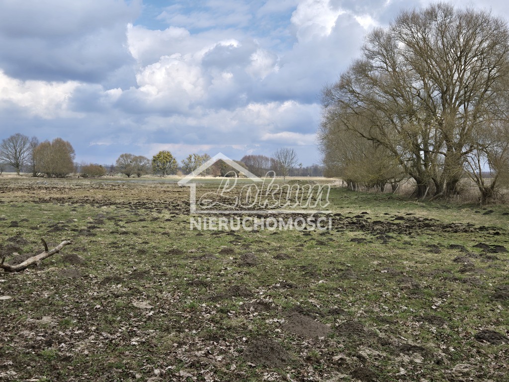 Działka budowlana 3009&nbsp;m², Rzędziny - zdjęcie 1