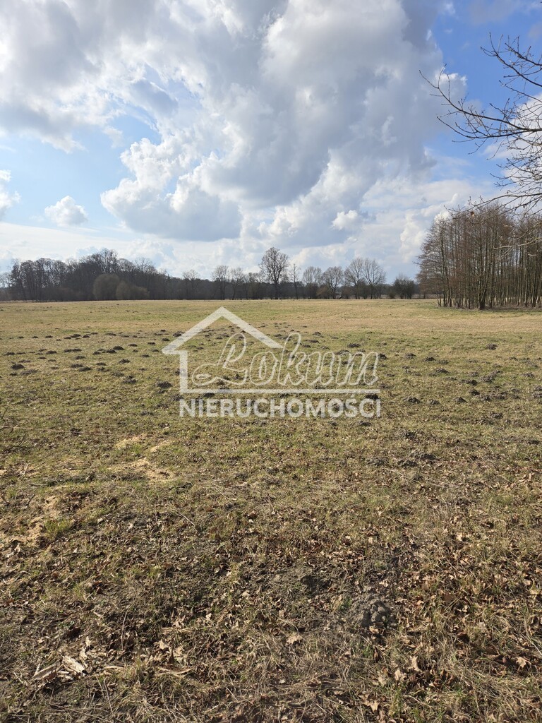 Działka budowlana 3009&nbsp;m², Rzędziny - zdjęcie 2