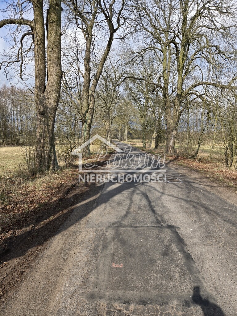 Działka budowlana 3009&nbsp;m², Rzędziny - zdjęcie 3