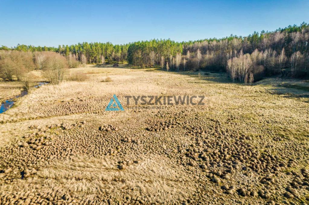 Działki rolne położona w otoczeniu lasu - zdjęcie 17