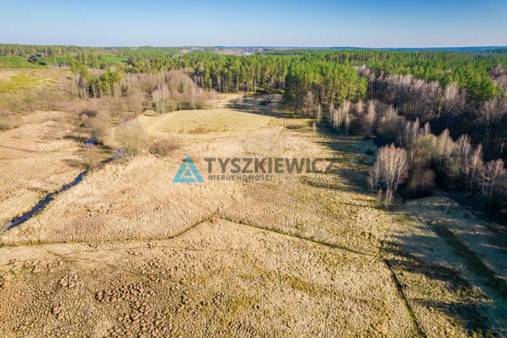 Działki rolne położona w otoczeniu lasu - zdjęcie 3