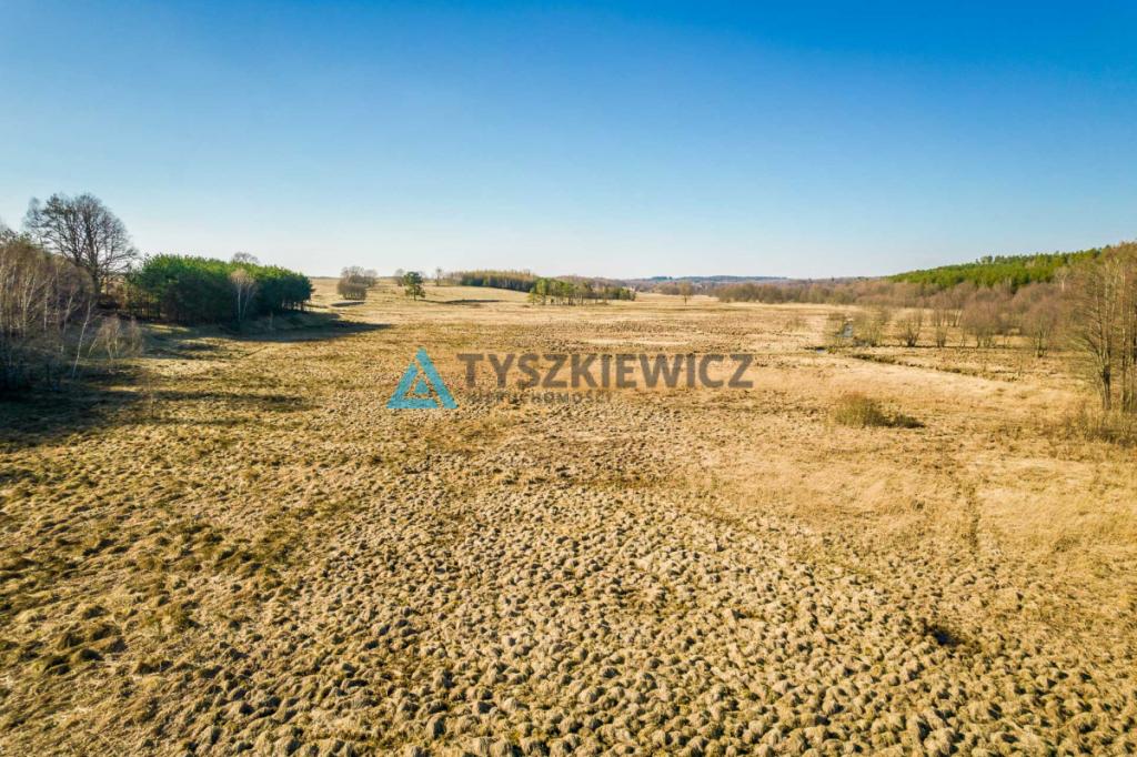 Działki rolne położona w otoczeniu lasu - zdjęcie 14