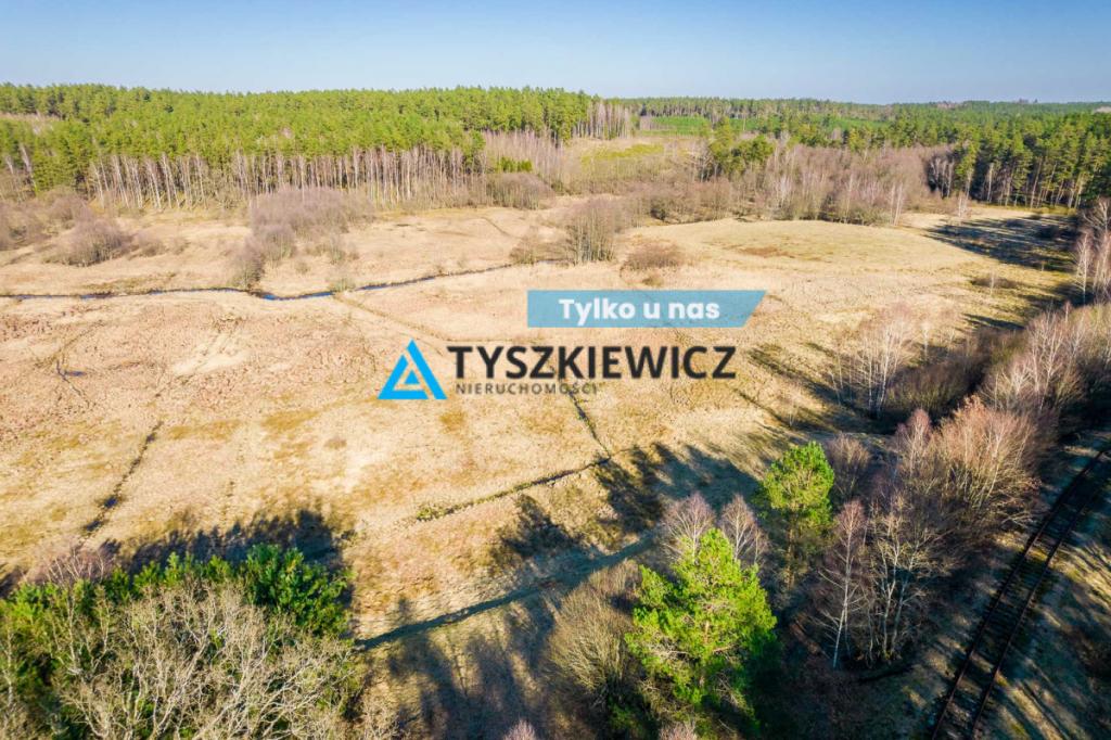 Działki rolne położona w otoczeniu lasu - zdjęcie 1