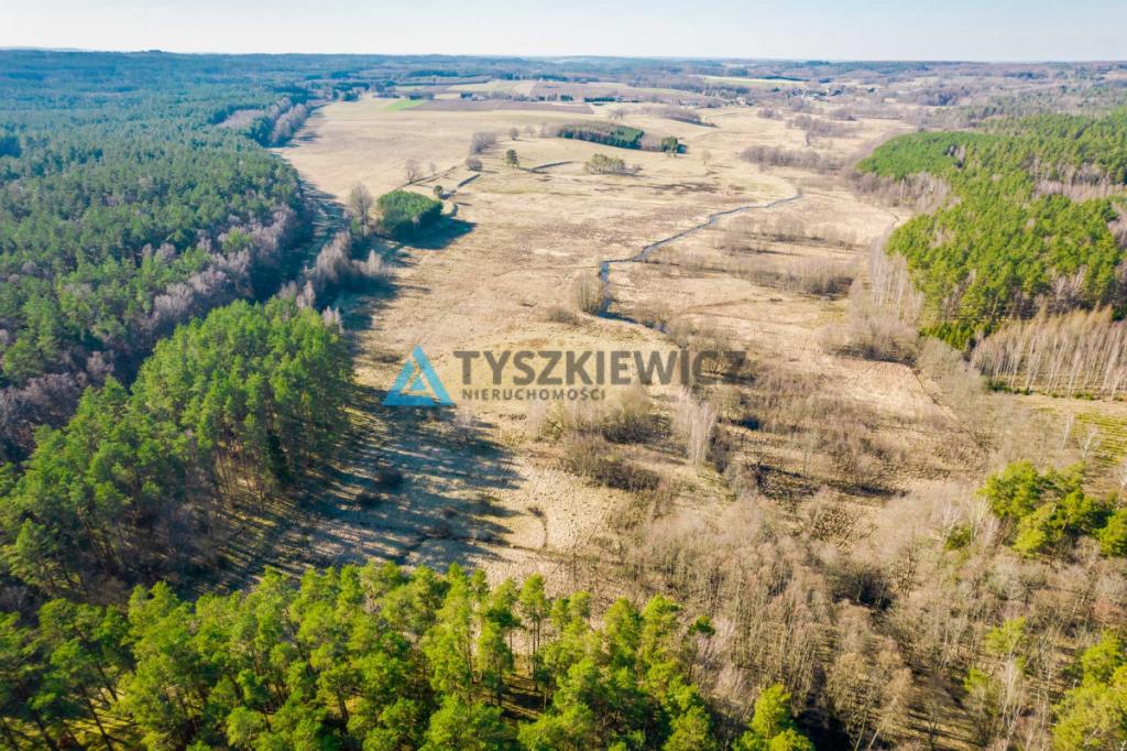 Działki rolne położona w otoczeniu lasu - zdjęcie 8
