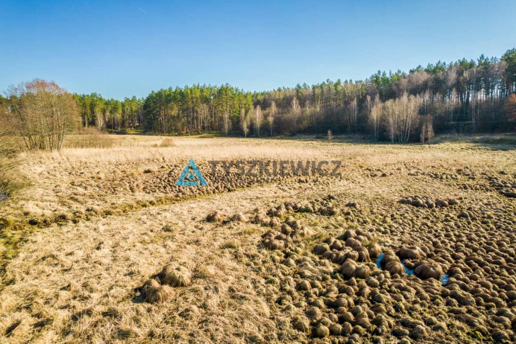 Działki rolne położona w otoczeniu lasu - zdjęcie 19