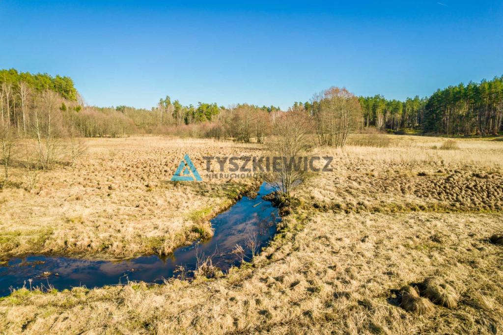 Działki rolne położona w otoczeniu lasu - zdjęcie 18