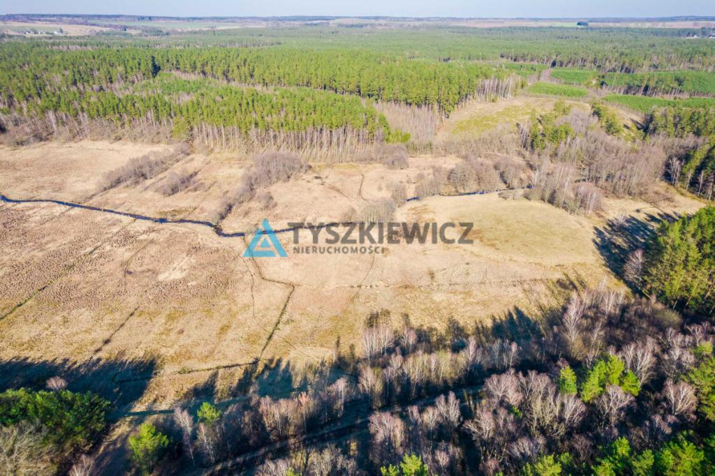Działki rolne położona w otoczeniu lasu - zdjęcie 15