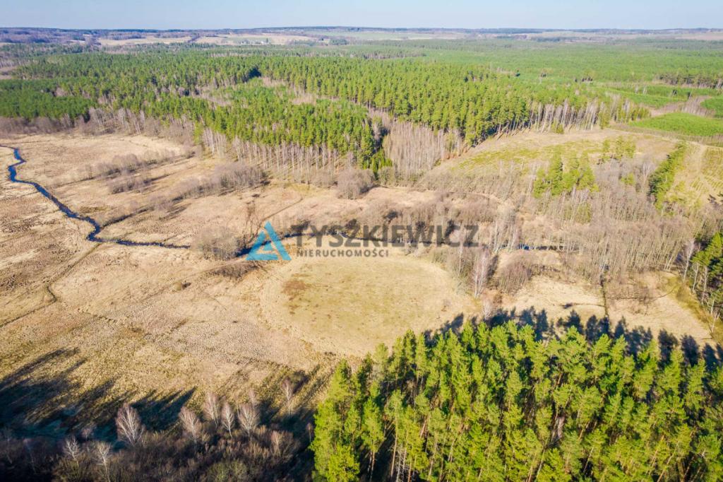 Działki rolne położona w otoczeniu lasu - zdjęcie 11