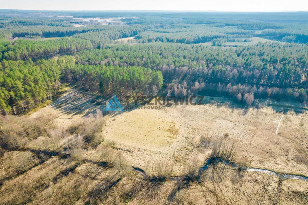 Działki rolne położona w otoczeniu lasu - zdjęcie 6