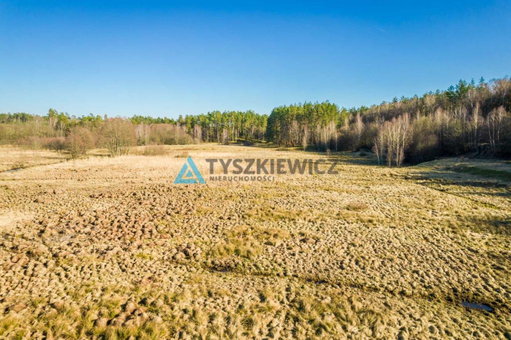 Działki rolne położona w otoczeniu lasu - zdjęcie 12