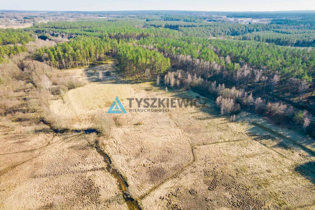 Działki rolne położona w otoczeniu lasu - zdjęcie 4