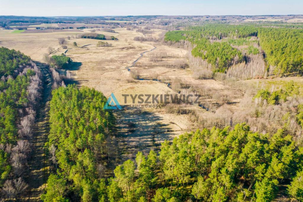 Działki rolne położona w otoczeniu lasu - zdjęcie 9
