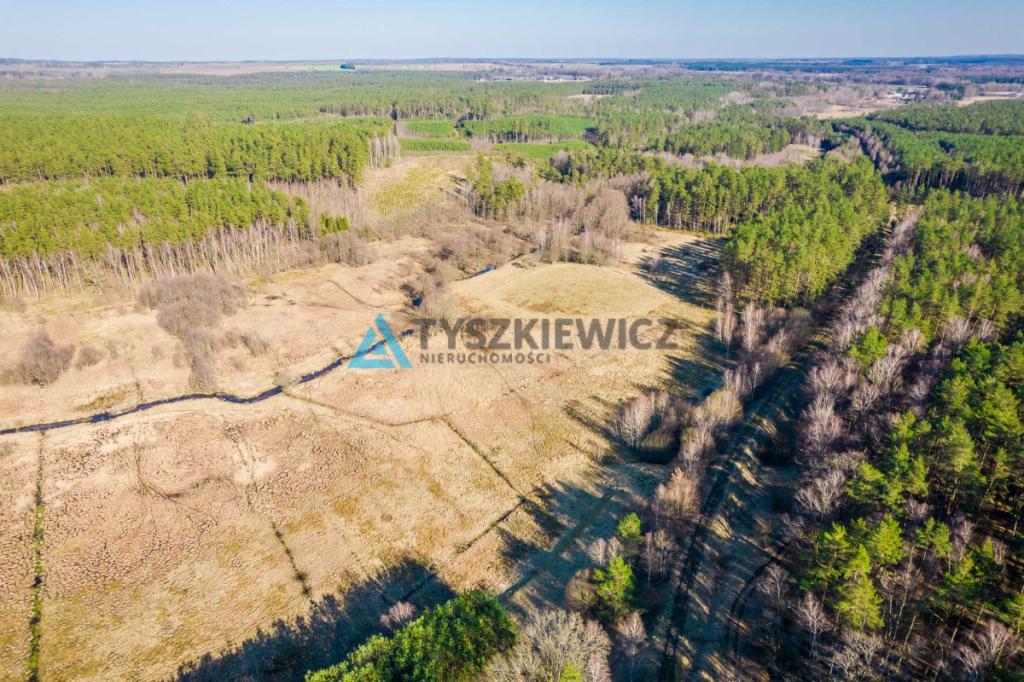 Działki rolne położona w otoczeniu lasu - zdjęcie 16