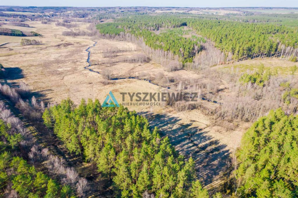 Działki rolne położona w otoczeniu lasu - zdjęcie 10