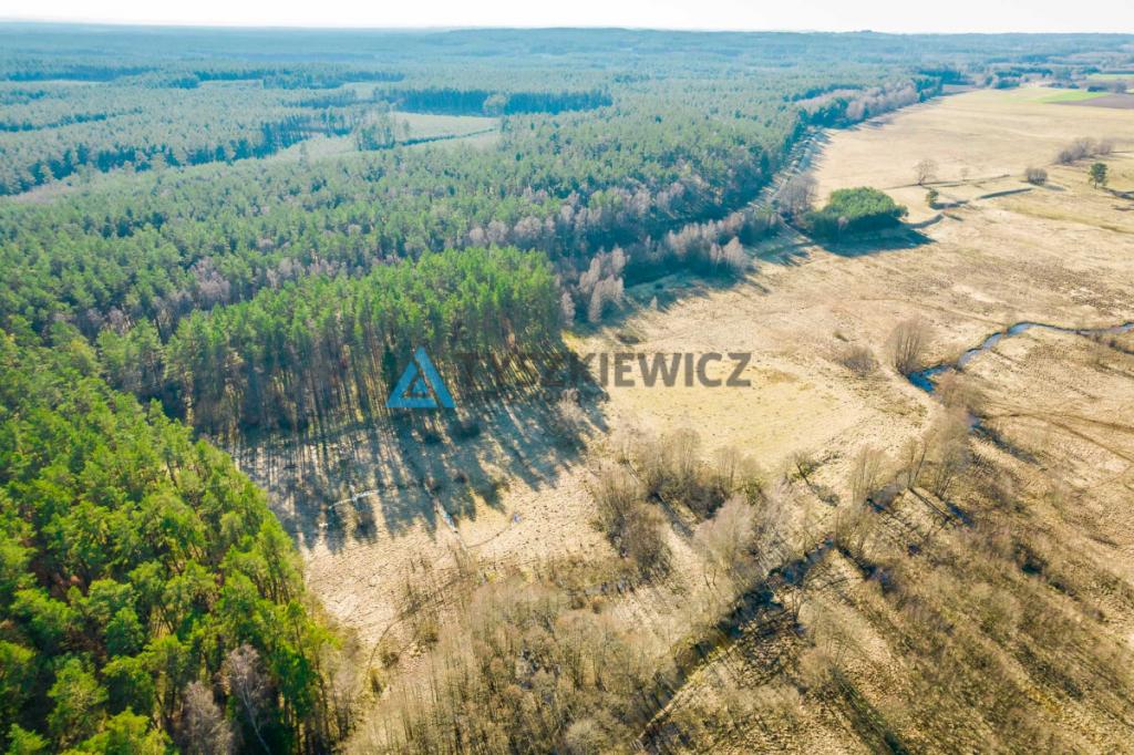Działki rolne położona w otoczeniu lasu - zdjęcie 7