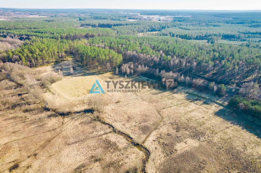 Działki rolne położona w otoczeniu lasu - zdjęcie 5