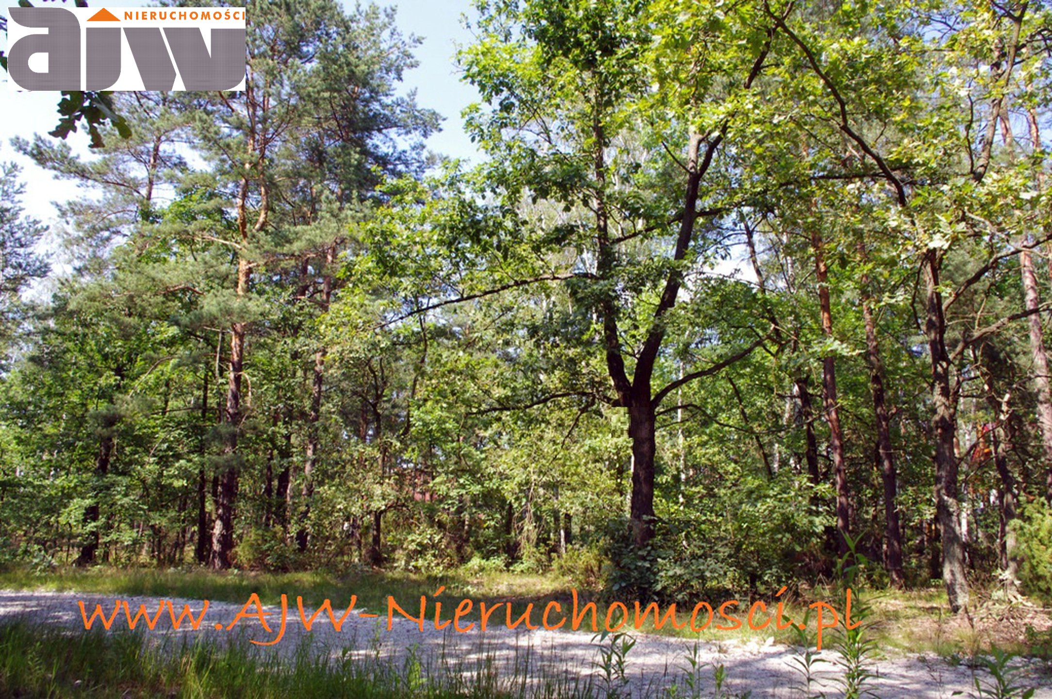 Działka Izabelin B 2210 m2 - zdjęcie 3