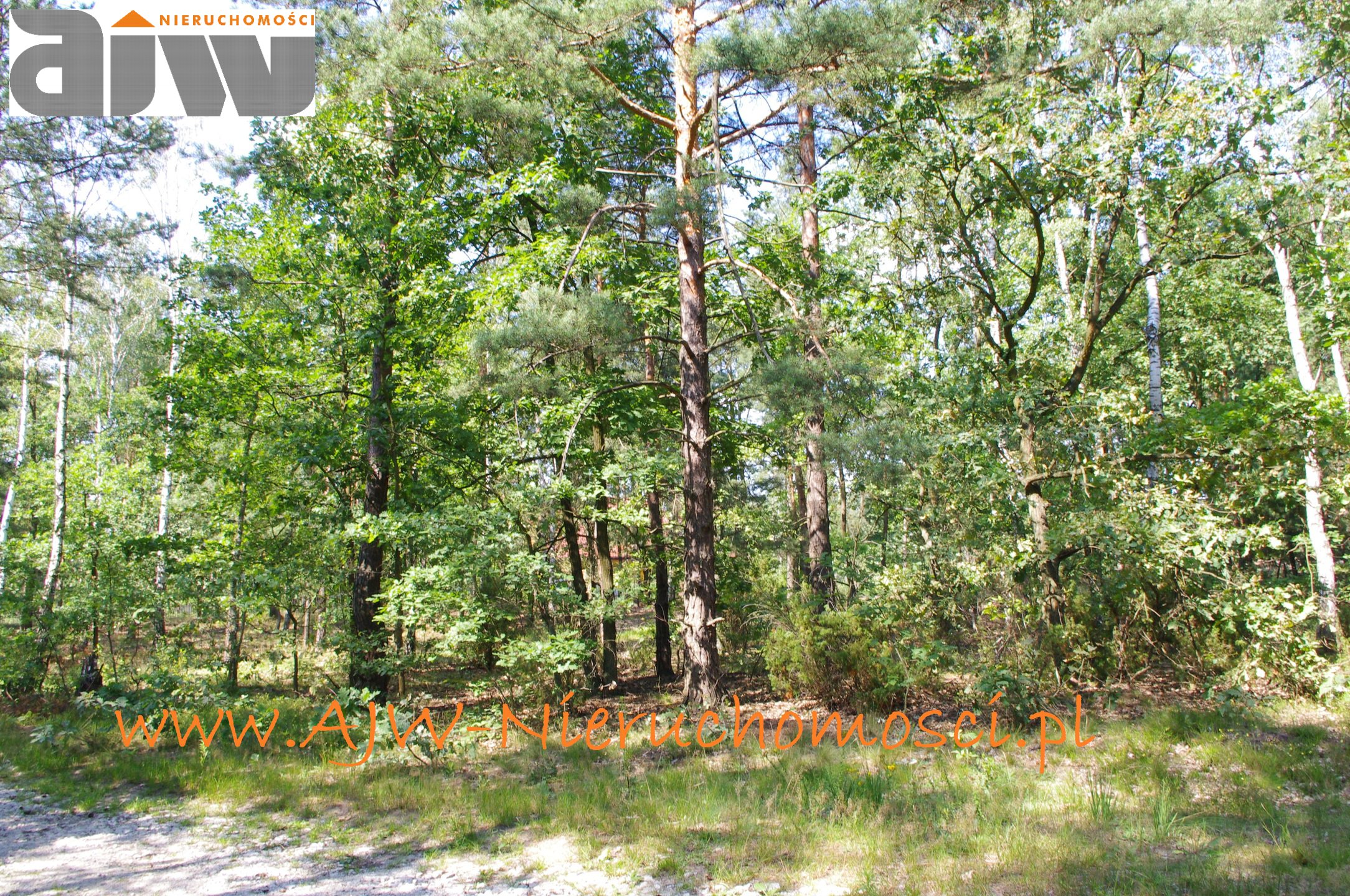 Działka Izabelin B 2210 m2 - zdjęcie 1