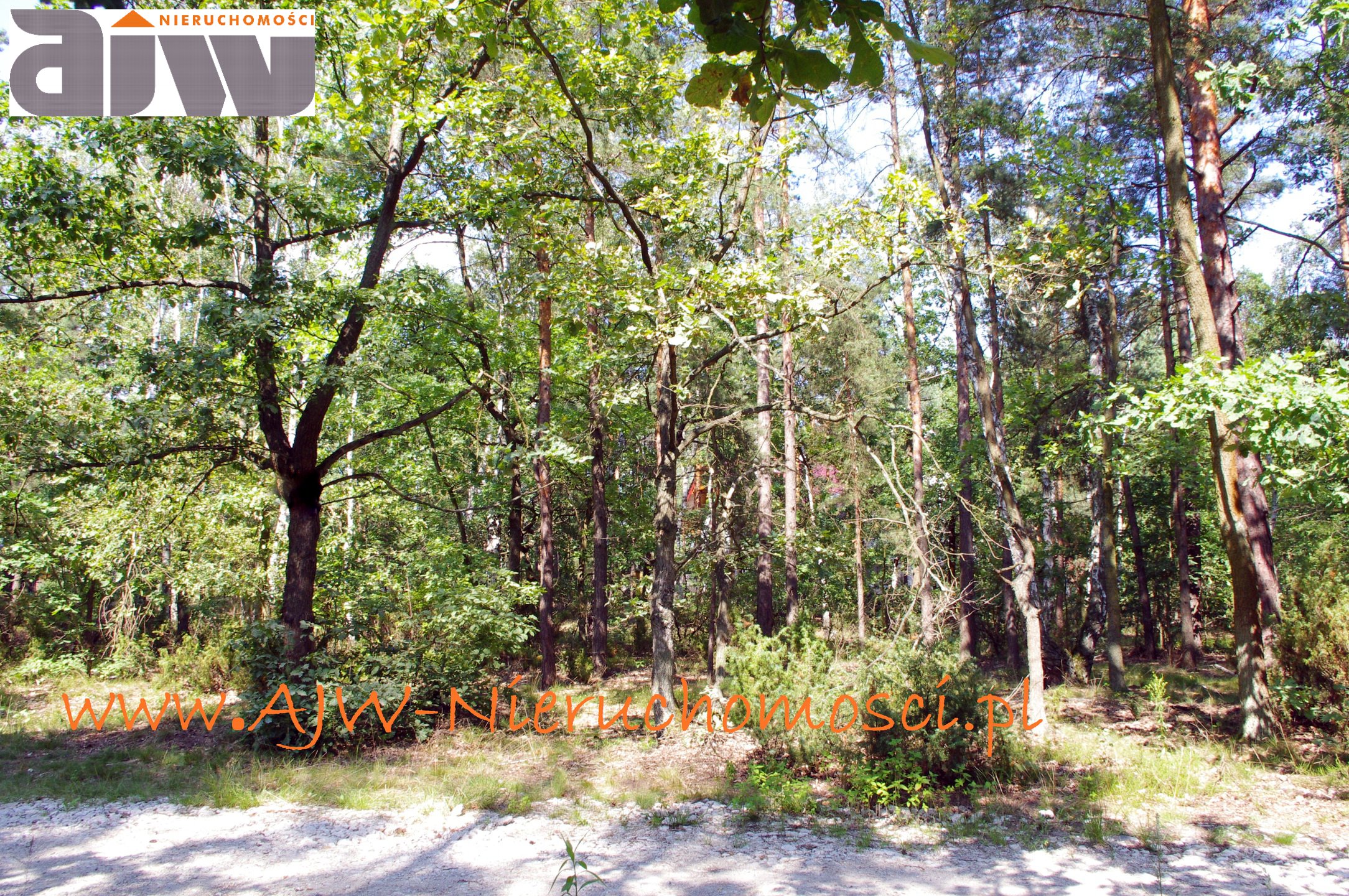 Działka Izabelin B 2210 m2 - zdjęcie 2