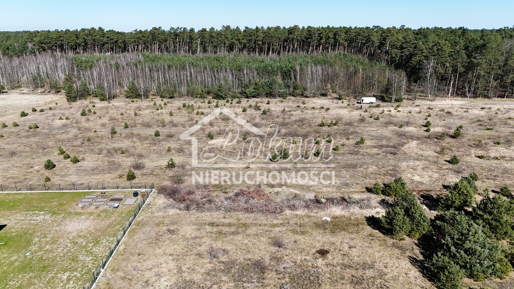 Działka budowlana 1684&nbsp;m², Miękowo, Spacerowa - zdjęcie 7