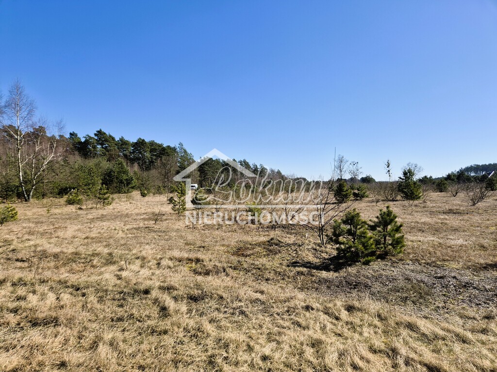 Działka budowlana 1684&nbsp;m², Miękowo, Spacerowa - zdjęcie 14