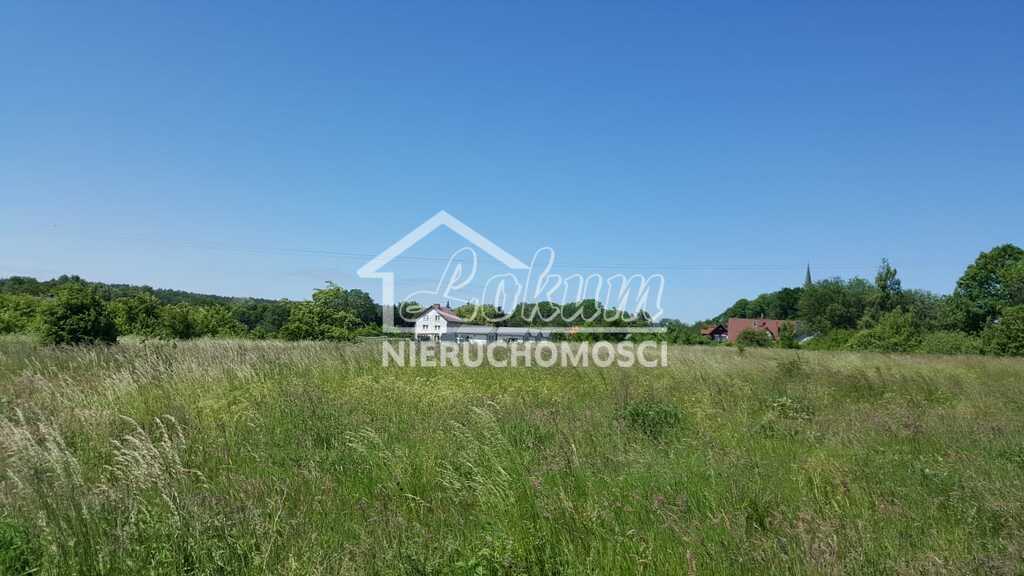 Działka rekreacyjna 3007&nbsp;m², Kołczewo - zdjęcie 2