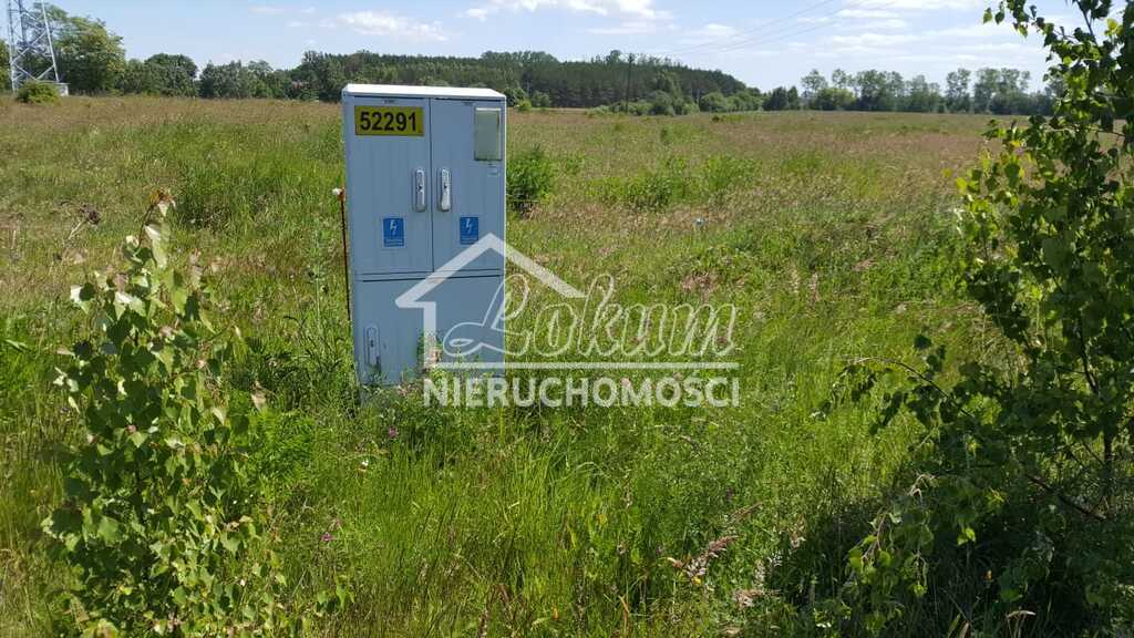 Działka rekreacyjna 3007&nbsp;m², Kołczewo - zdjęcie 3