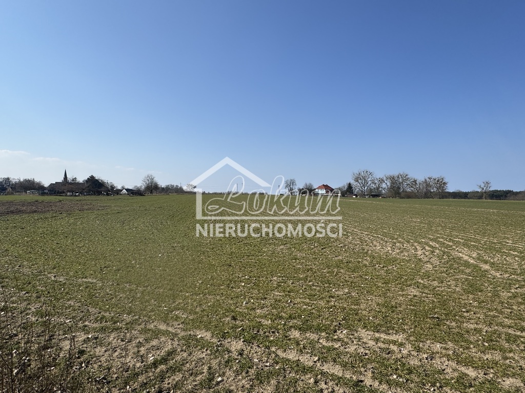 Działka budowlana 1002&nbsp;m², Żarnowo - zdjęcie 5